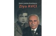 Nirxandina bîranînên Alîşêr (Ziya Avcî) û bûyera kuştina herdu Seîd’an