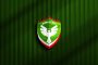 Futboldan fazlasıdır Amedspor