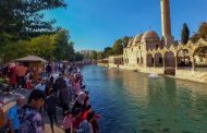 Korksunlar, korkuları Kürt nüfusun artmasındandır!
