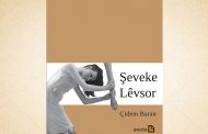 Şeveke Lêvsor…