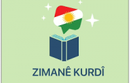 Çima 3000 sal berê ji îro bêtir ziman hebûn?